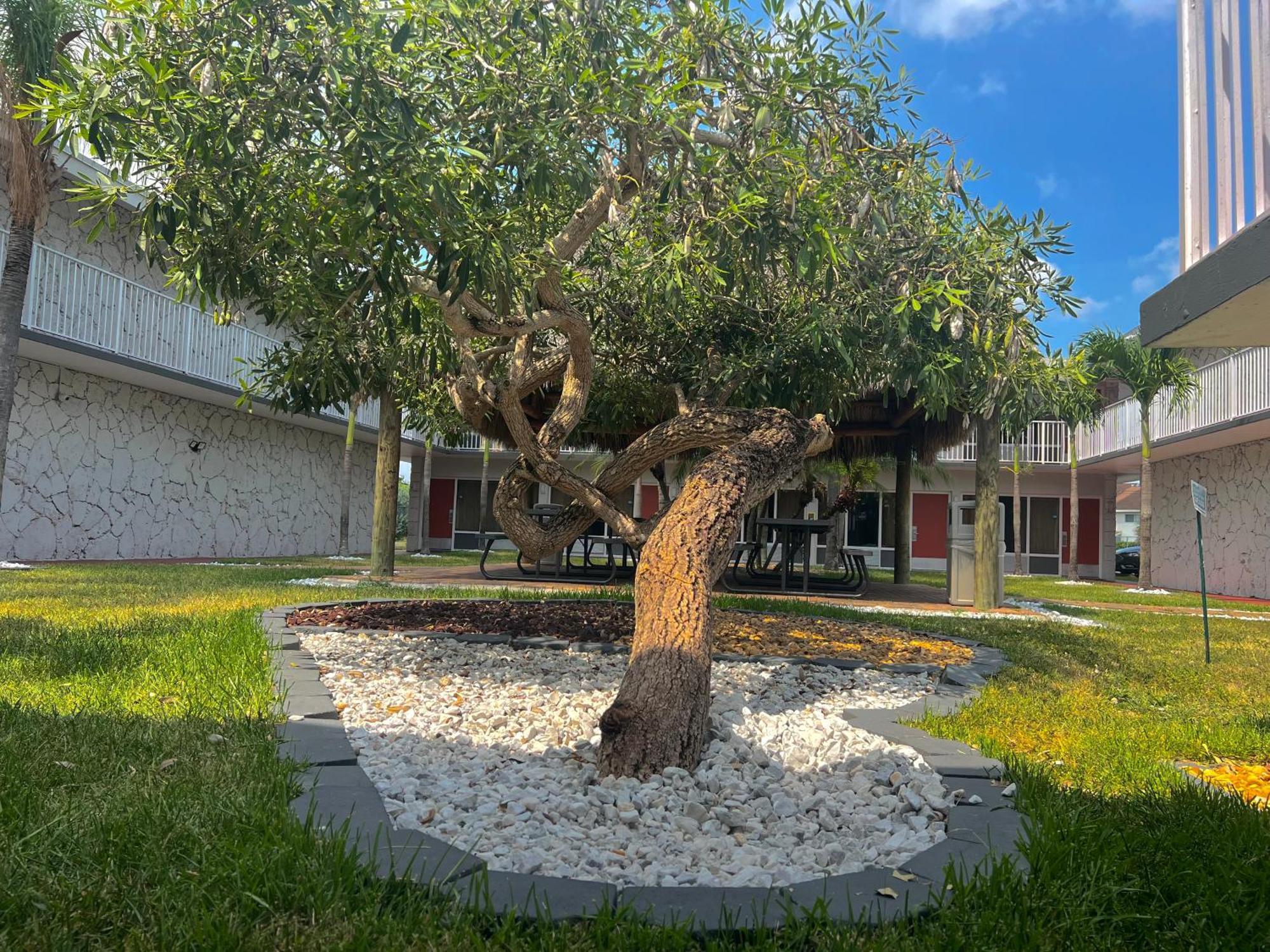 Garden Inn Homestead/Everglades/Gateway To Keys Exterior foto